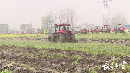 润雨浸农田，机械助春耕——荆州监利农业机械化服务助力生产新篇章