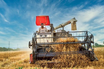 泰州姜堰小杨村 家庭农场筑就产业共富“梦工厂” 农业机械服务点亮现代农业新图景